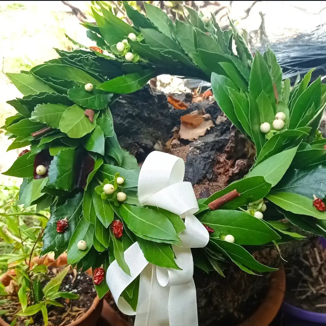 Coroncina Nastro Bianco